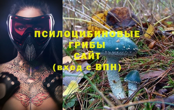 эйфоретик Бородино