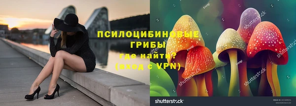 амф Бронницы