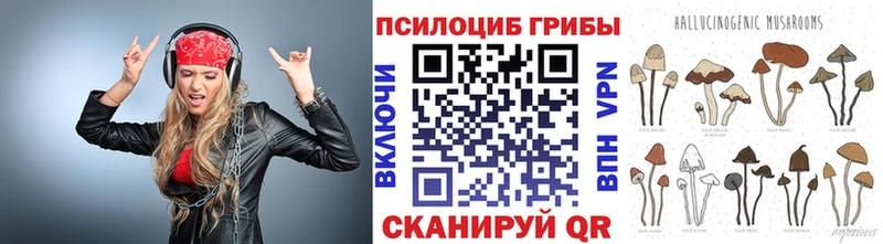 Псилоцибиновые грибы Psilocybine cubensis  Плёс 